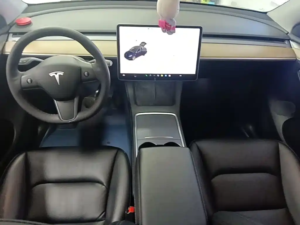 Tesla Model Y — миниатюра 10