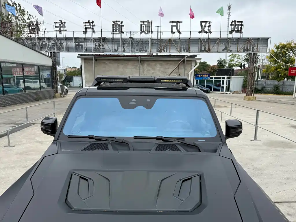 Mengshi Mengshi 917 — миниатюра 8