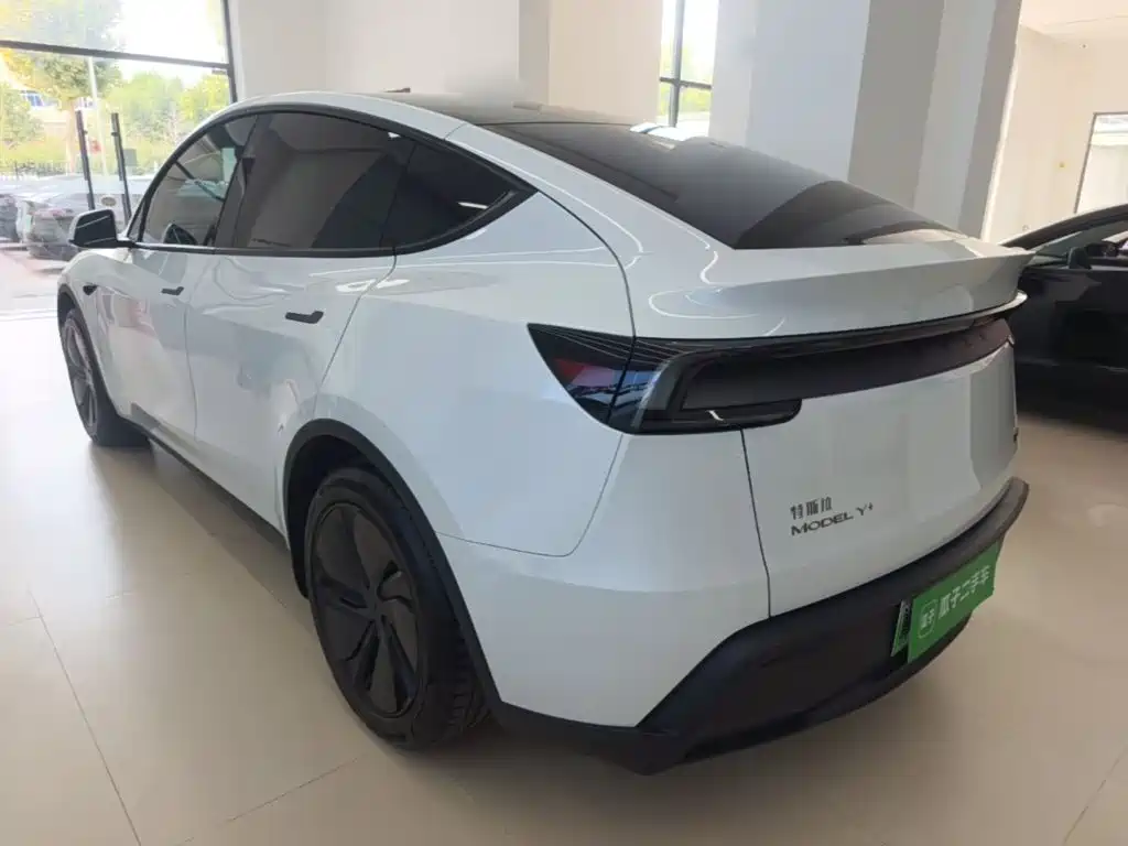 Tesla Model Y — миниатюра 5