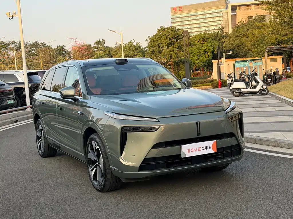 WEI PAI WEI BRAND BLUE MOUNTAIN