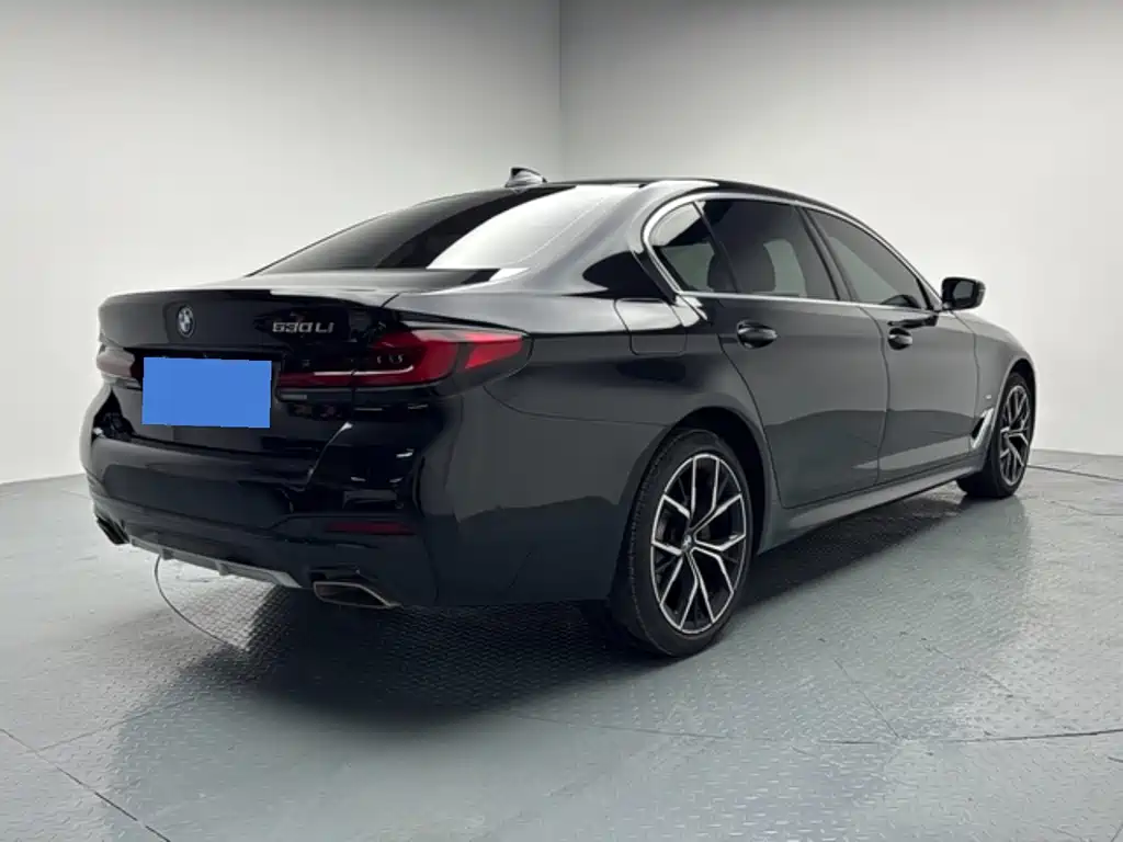 BMW 5 Series — миниатюра 8
