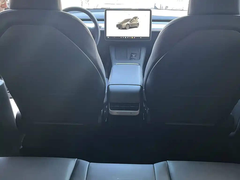 Tesla Model Y — миниатюра 8