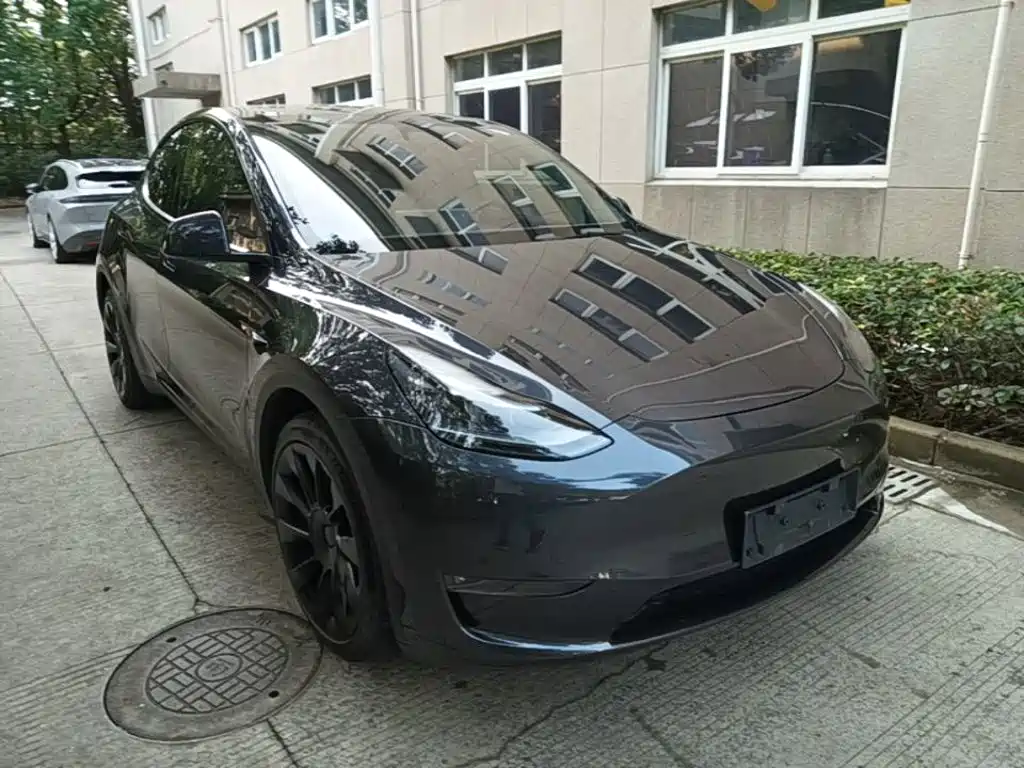 Tesla Model Y — миниатюра 4