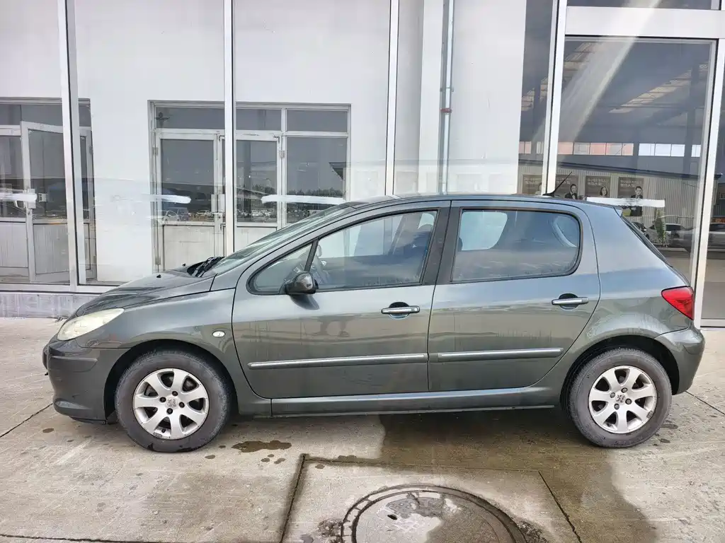 Peugeot 307 — миниатюра 2