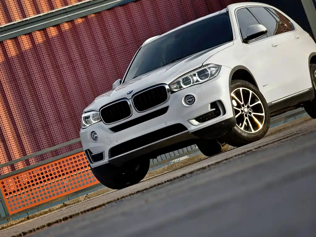 BMW X5 (Import) — миниатюра 6
