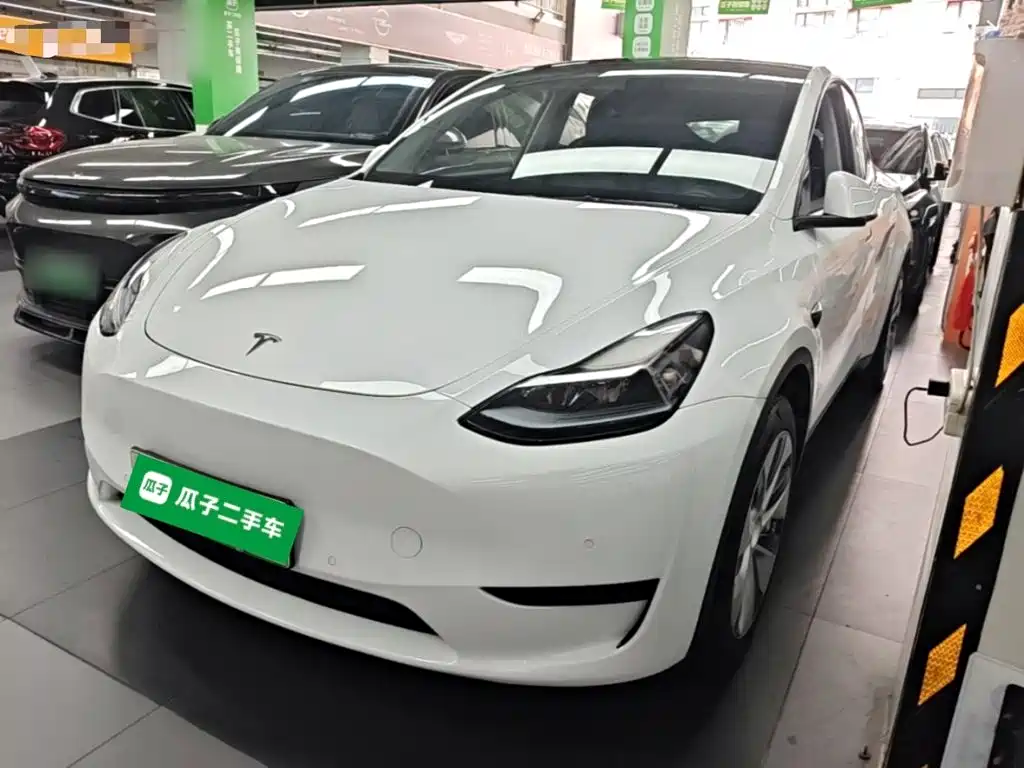 Tesla Model Y — миниатюра 2