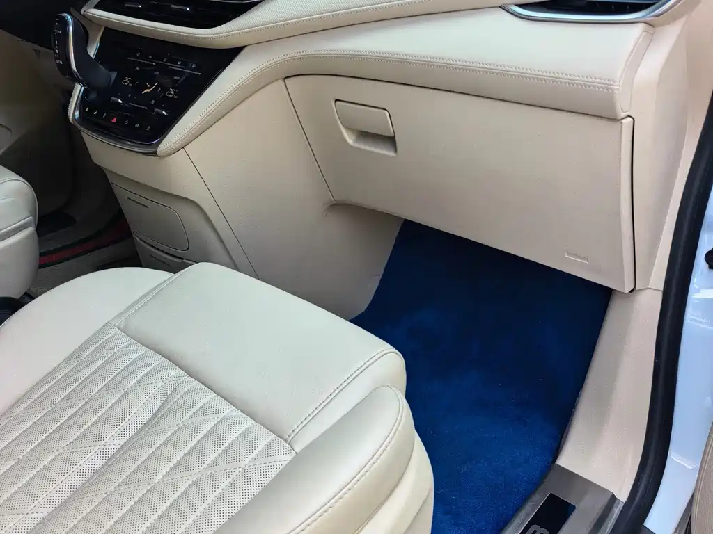 Buick GL8 2023 ES Luxury