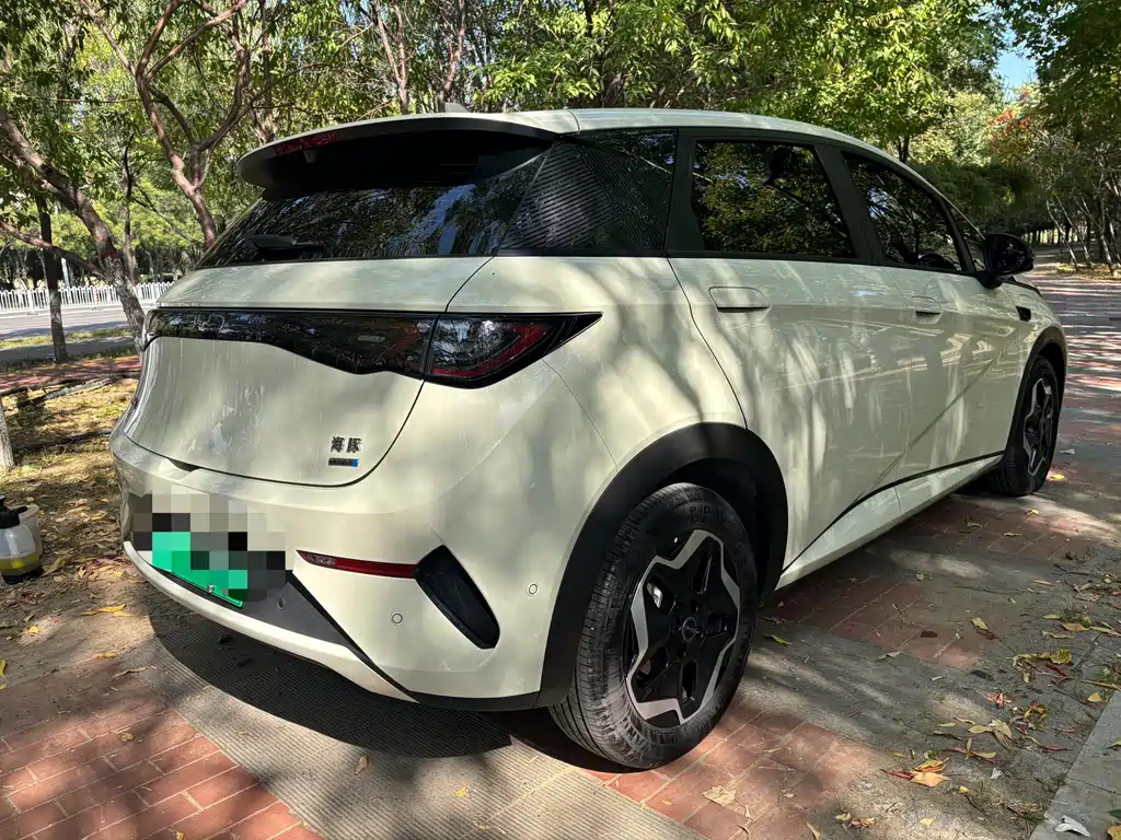 BYD Dolphin — миниатюра 19