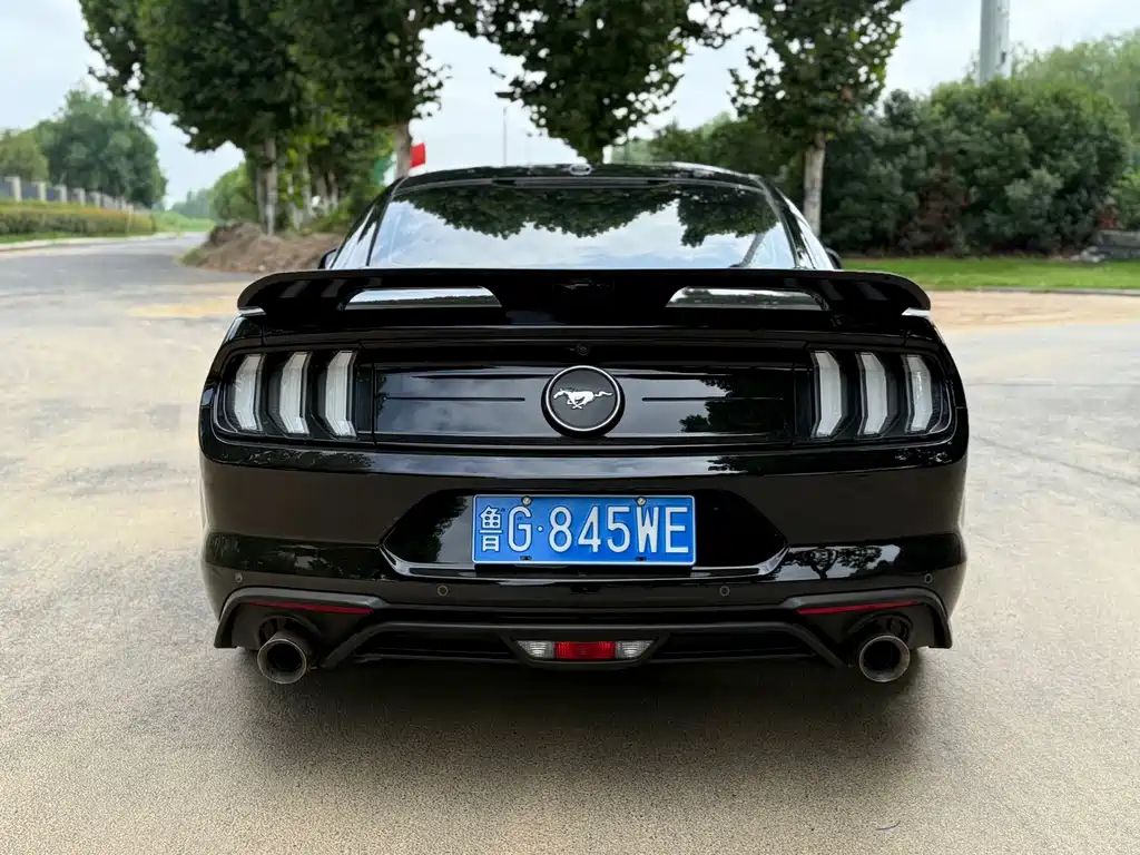 Ford Mustang — миниатюра 9