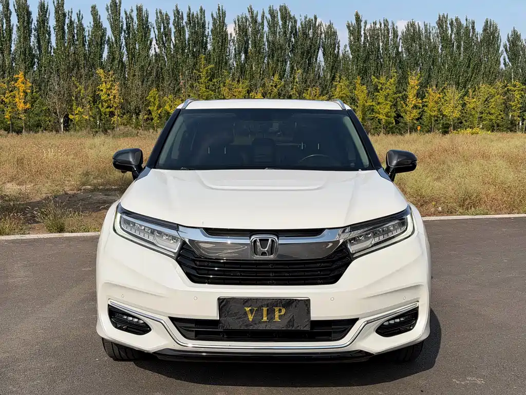 Honda Avancier — миниатюра 2