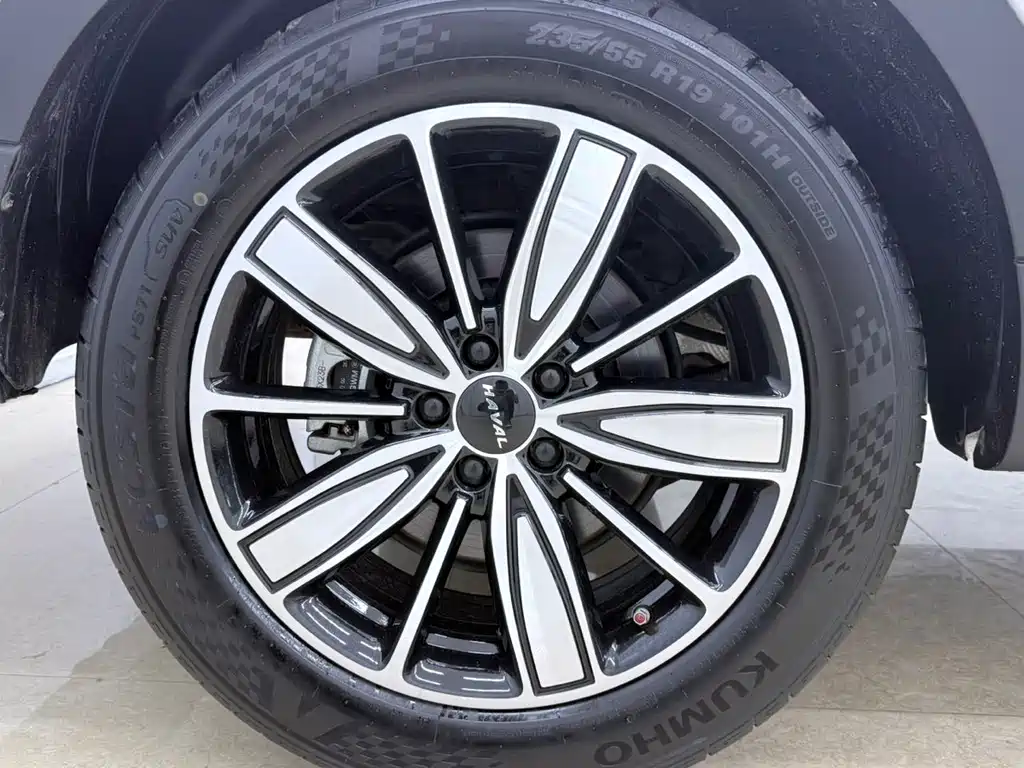 Haval H6 National Trend Edition 1.5T Auto Champion Edition, фото 25