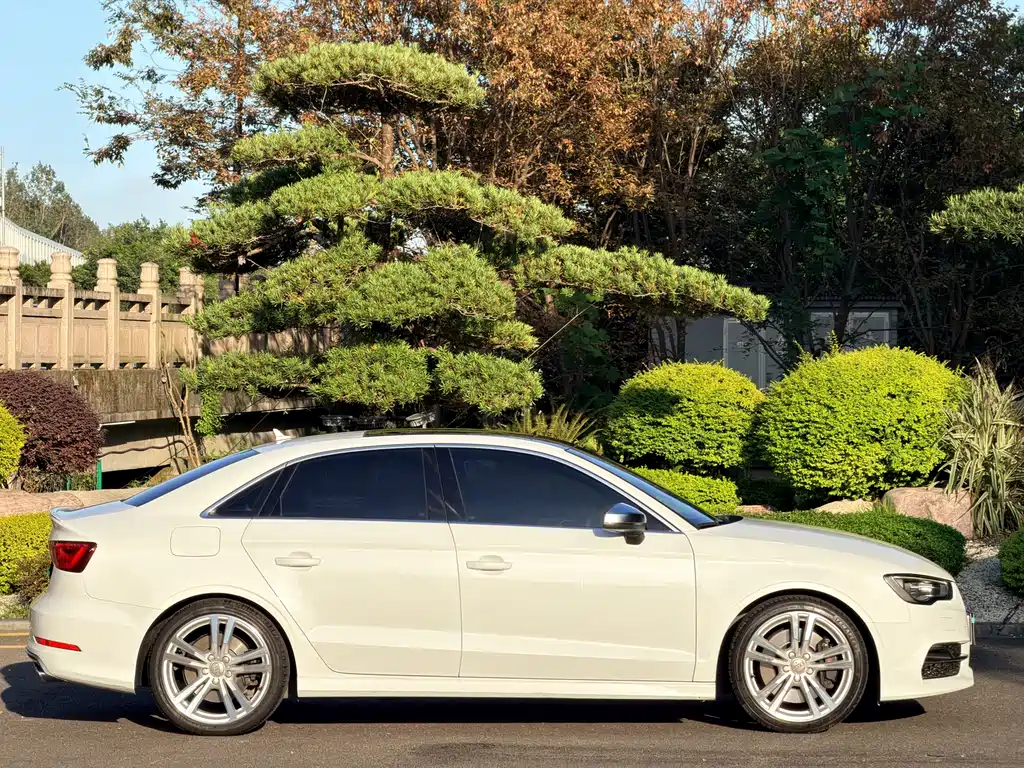 Audi S3 — миниатюра 10