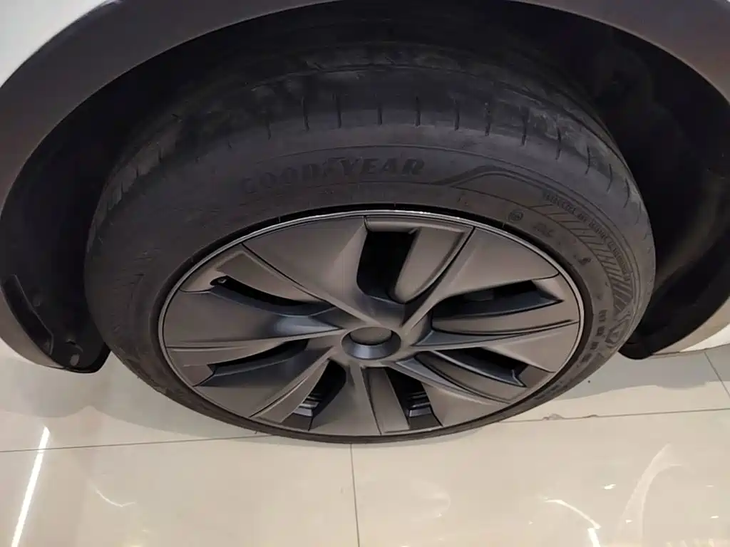 Tesla Model Y — миниатюра 23