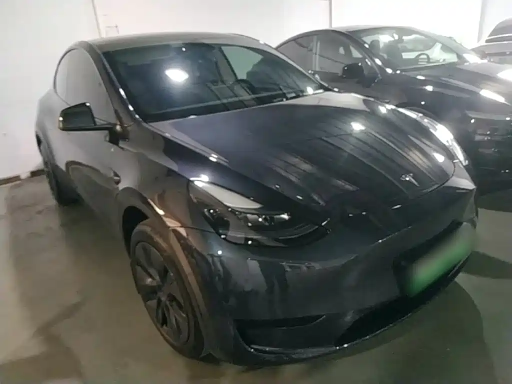 Tesla Model Y — миниатюра 4