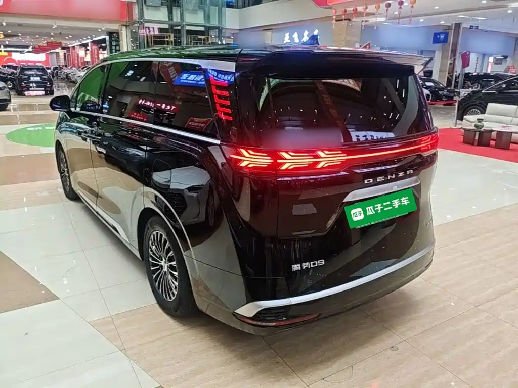 Denza Denza D9 — миниатюра 5