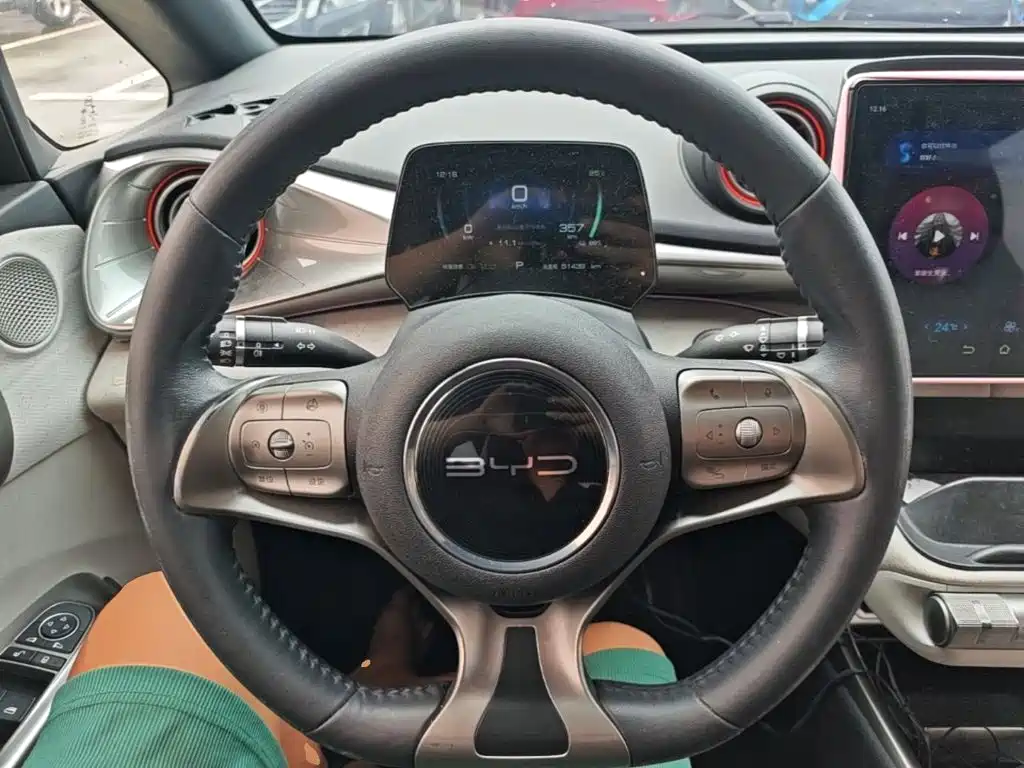 BYD Dolphin — миниатюра 11