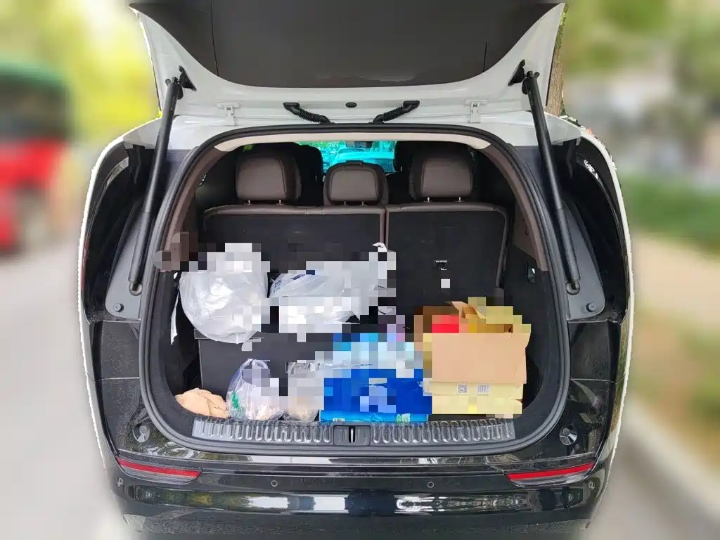 Li Auto Li MEGA — миниатюра 20