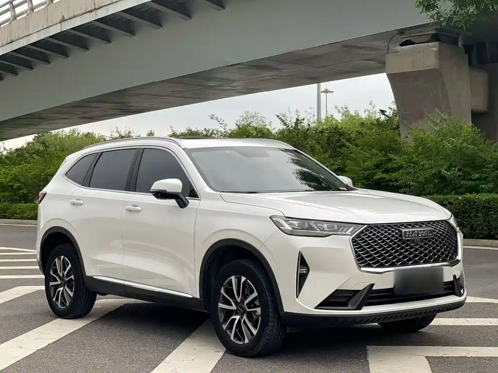 Haval Chulian — миниатюра 25
