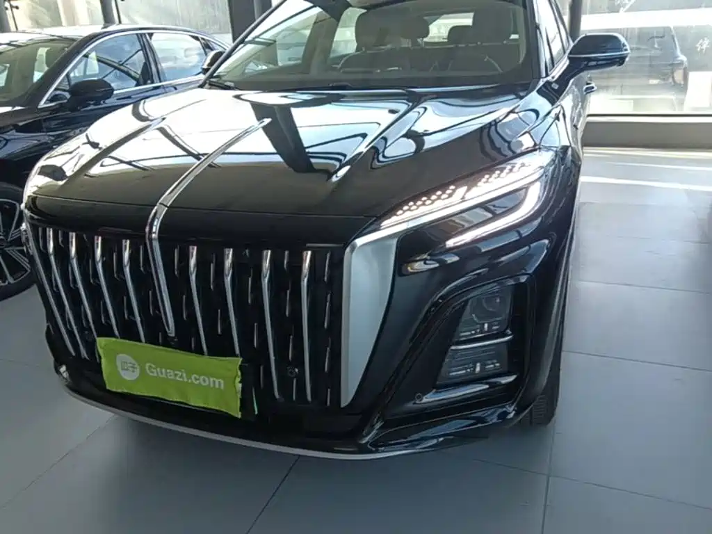 Hongqi Hongqi HS3 PHEV — миниатюра 24