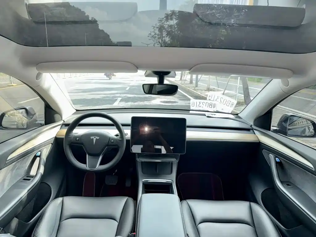 Tesla Model Y — миниатюра 5