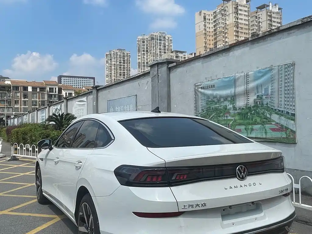 Volkswagen Lamando — миниатюра 7