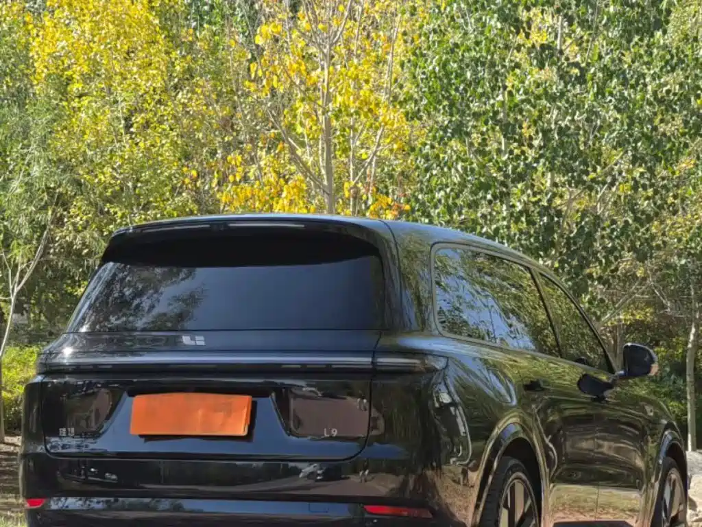 Li Auto Li L9 — миниатюра 9