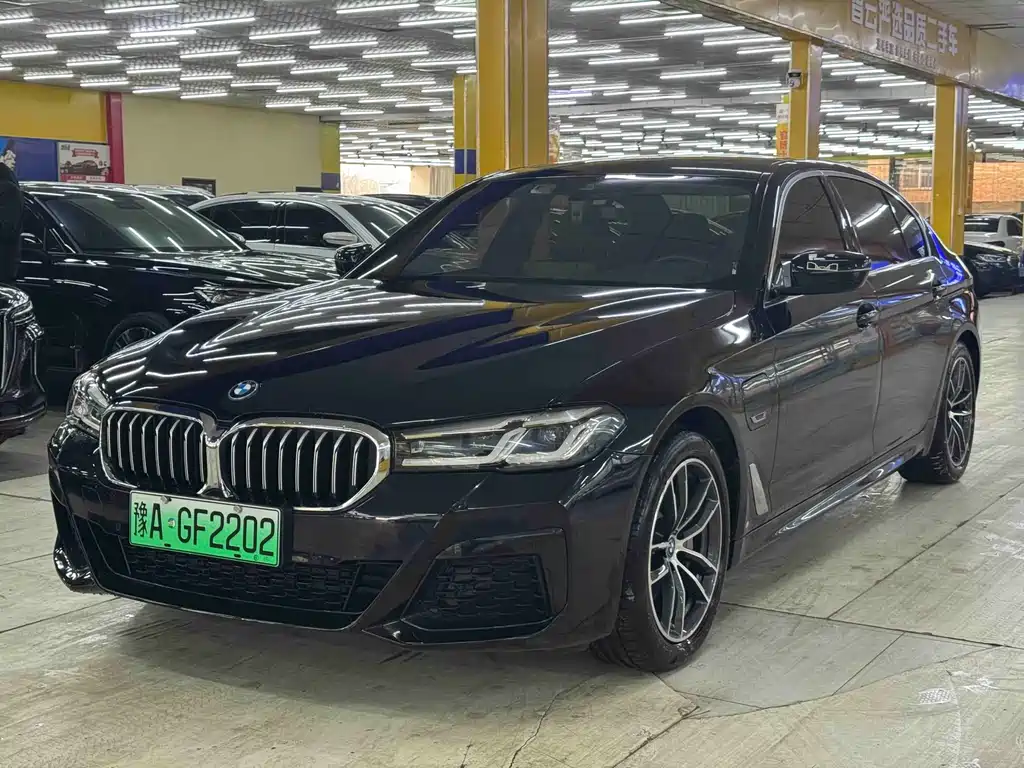 BMW 5 Series New Energy 2023