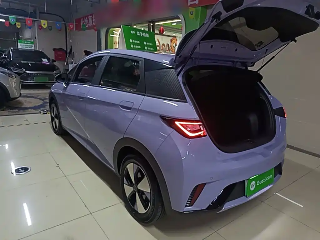 BYD Dolphin — миниатюра 5