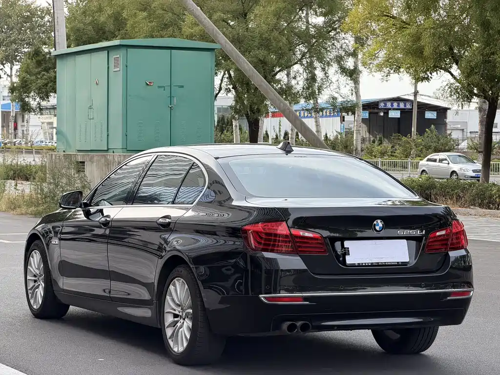 BMW 5 Series — миниатюра 4
