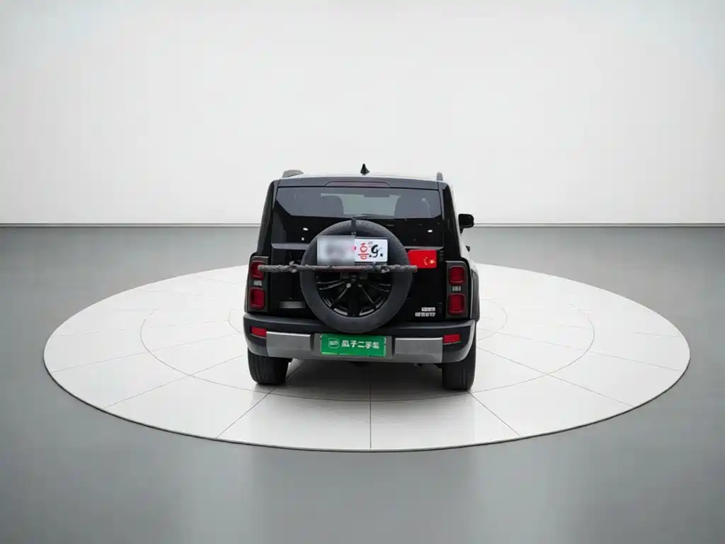 Haval Menglong New Energy — миниатюра 5