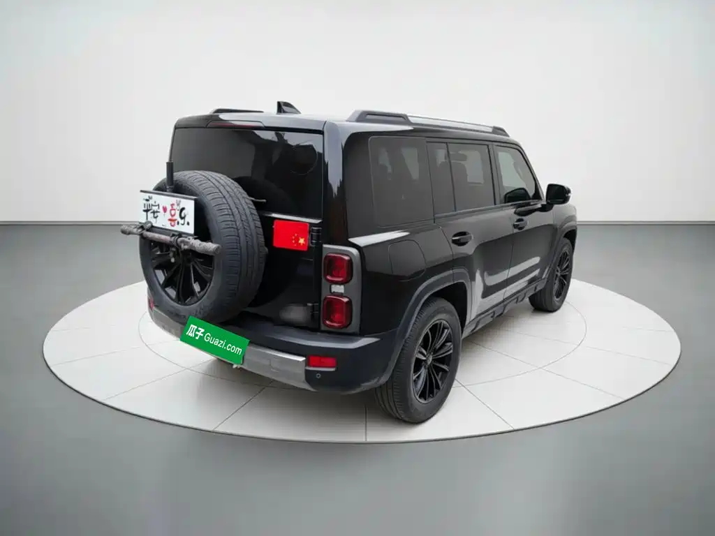 Haval Menglong New Energy — миниатюра 6
