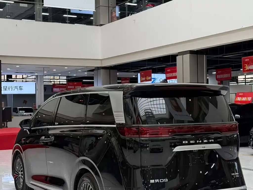 Denza Denza D9 — миниатюра 15