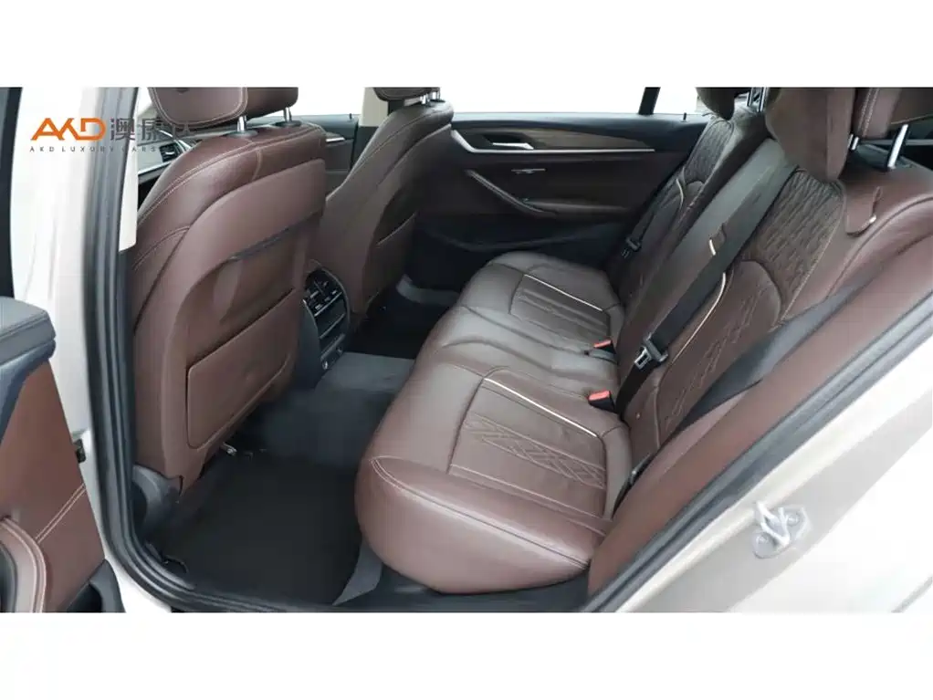 BMW 5 Series 5 2019 530Li Lead Luxury
