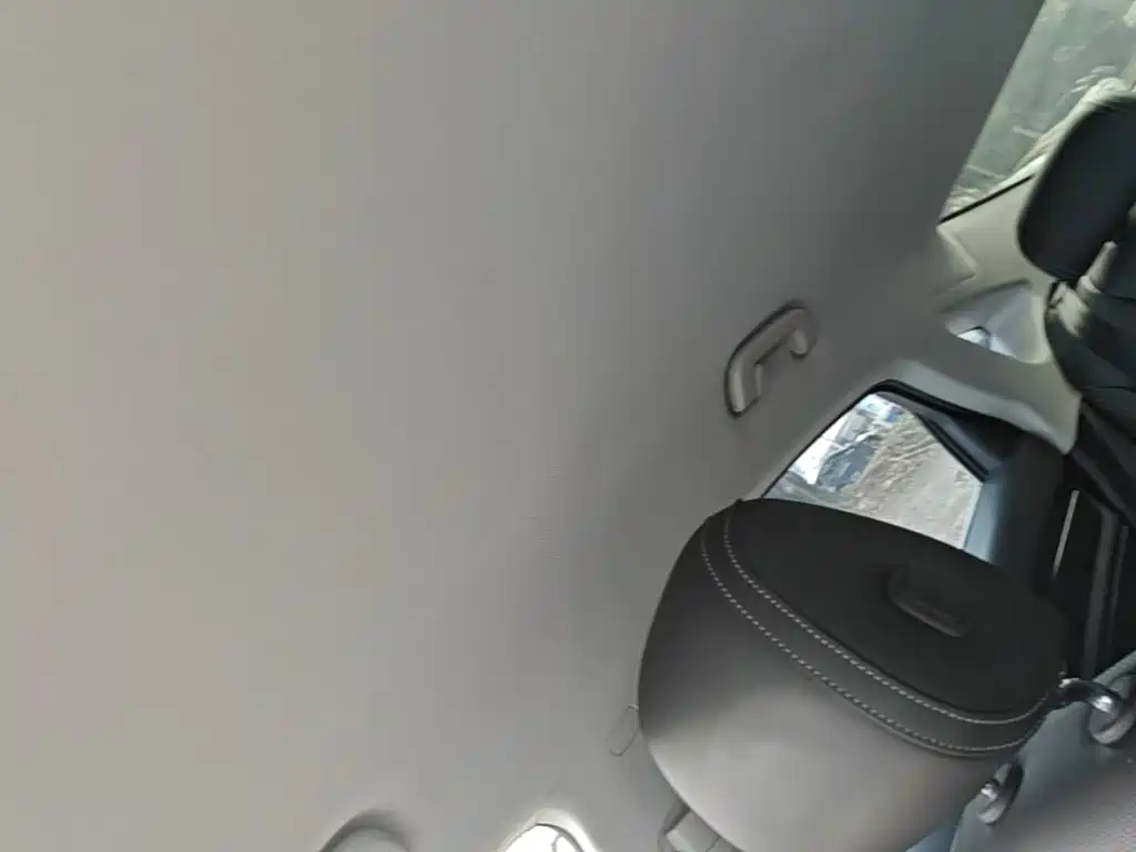 Geely Borui Hybrid — миниатюра 18
