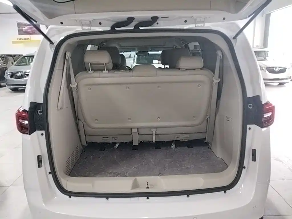 Buick GL8 — миниатюра 19