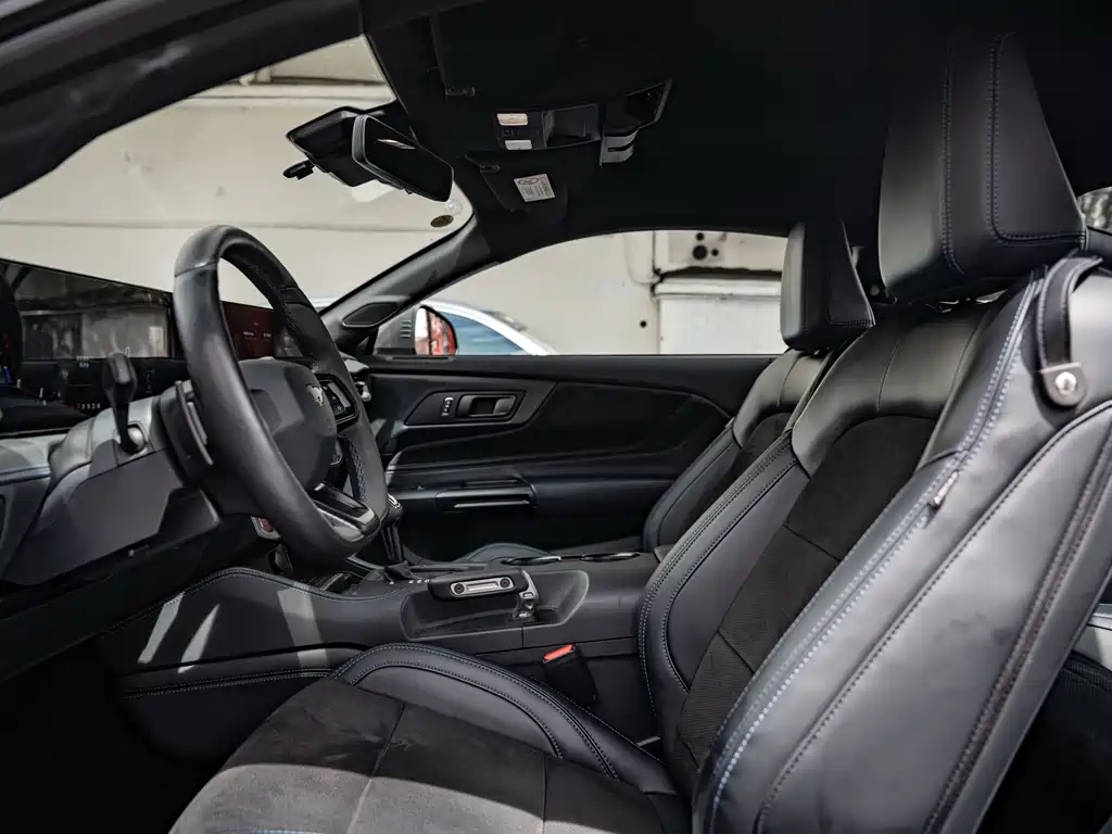 Ford Mustang 5.0L V8 Dark Horse, фото 18