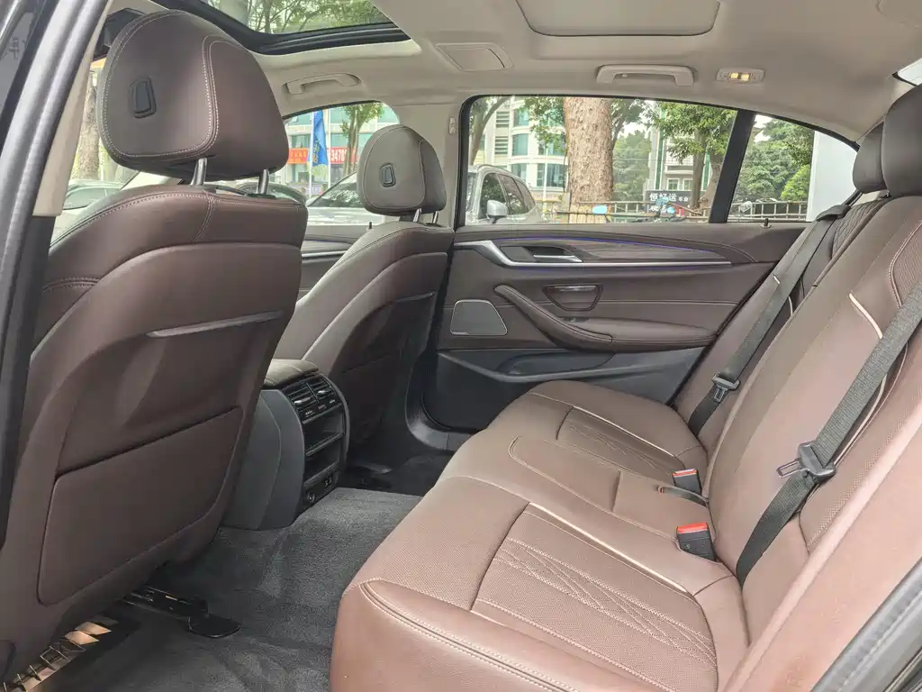 BMW 5 Series 5 2021 530Li Lead Luxury