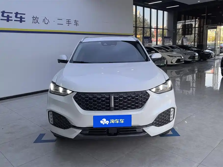 WEI PAI WEI BRAND VV6