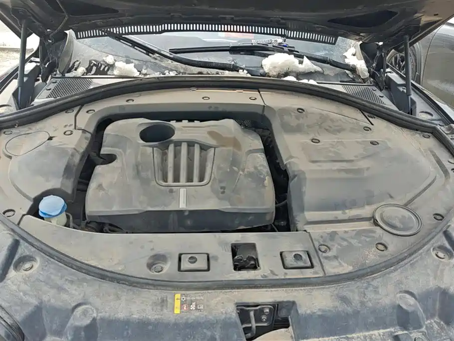 WEI PAI WEI BRAND VV7