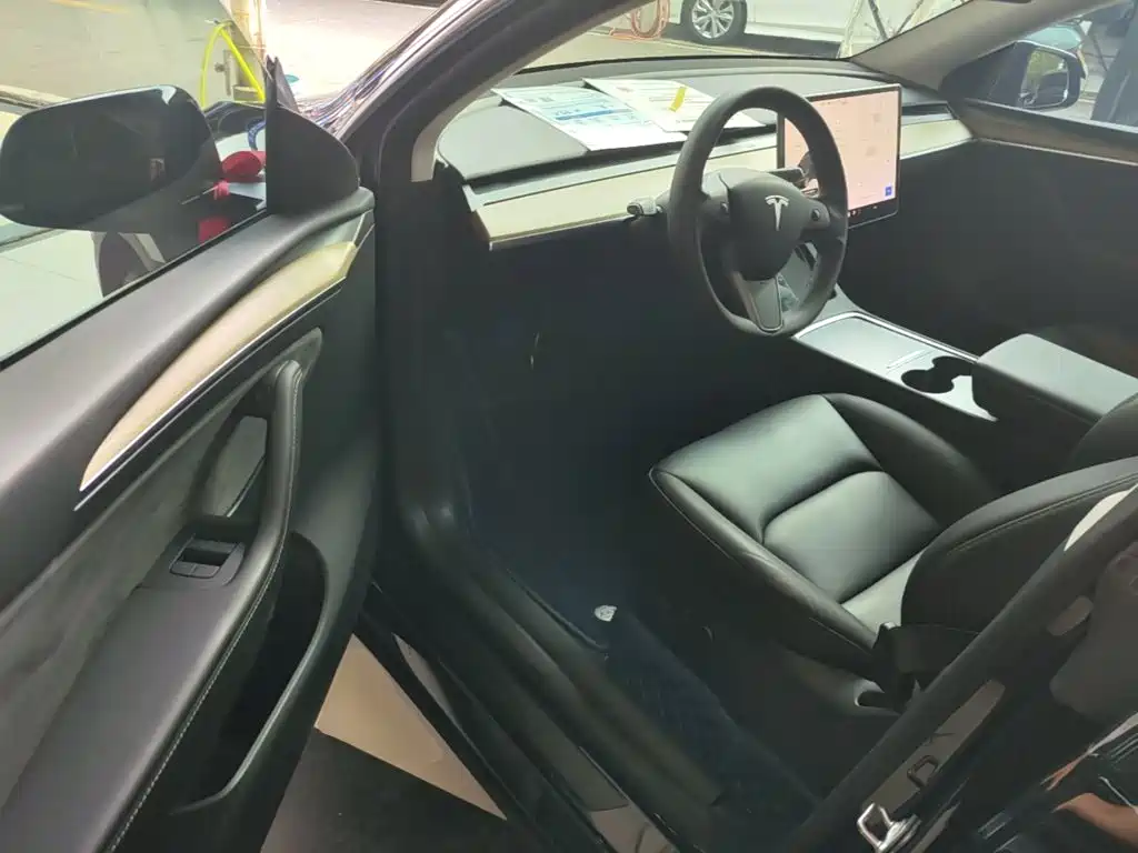 Tesla Model Y — миниатюра 16