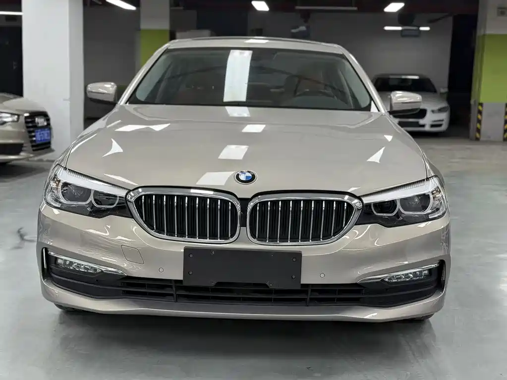 BMW 5 Series 5 2018 528Li