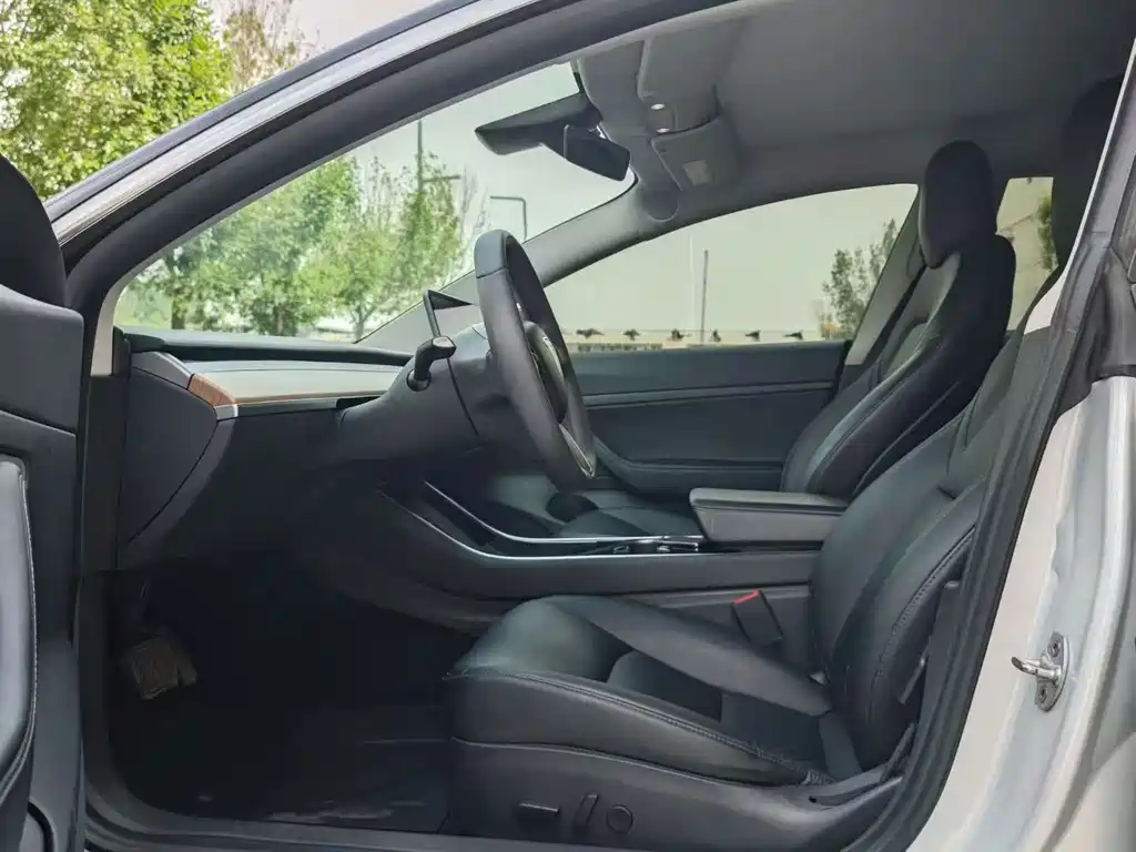 Tesla Model 3 — миниатюра 6