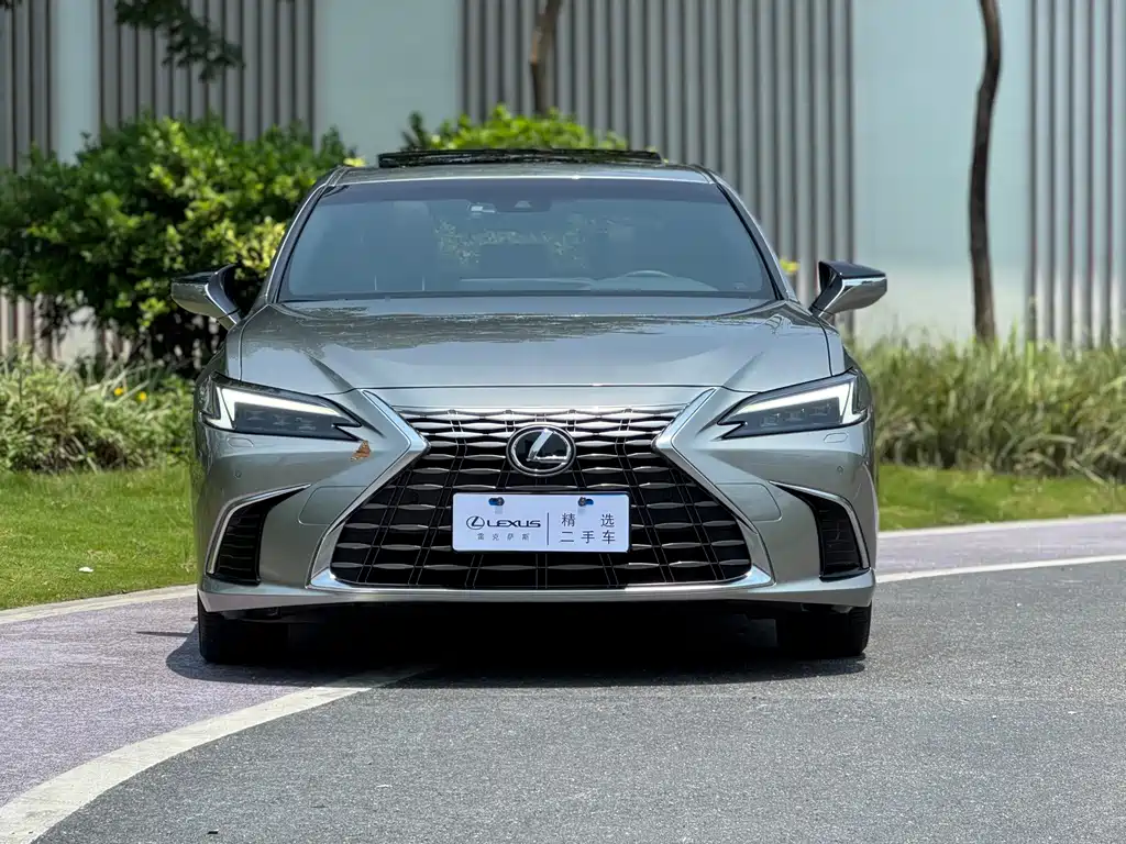 Lexus ES 300h Premium Enjoy Edition, фото 2