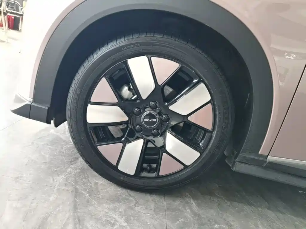 BYD Dolphin — миниатюра 23