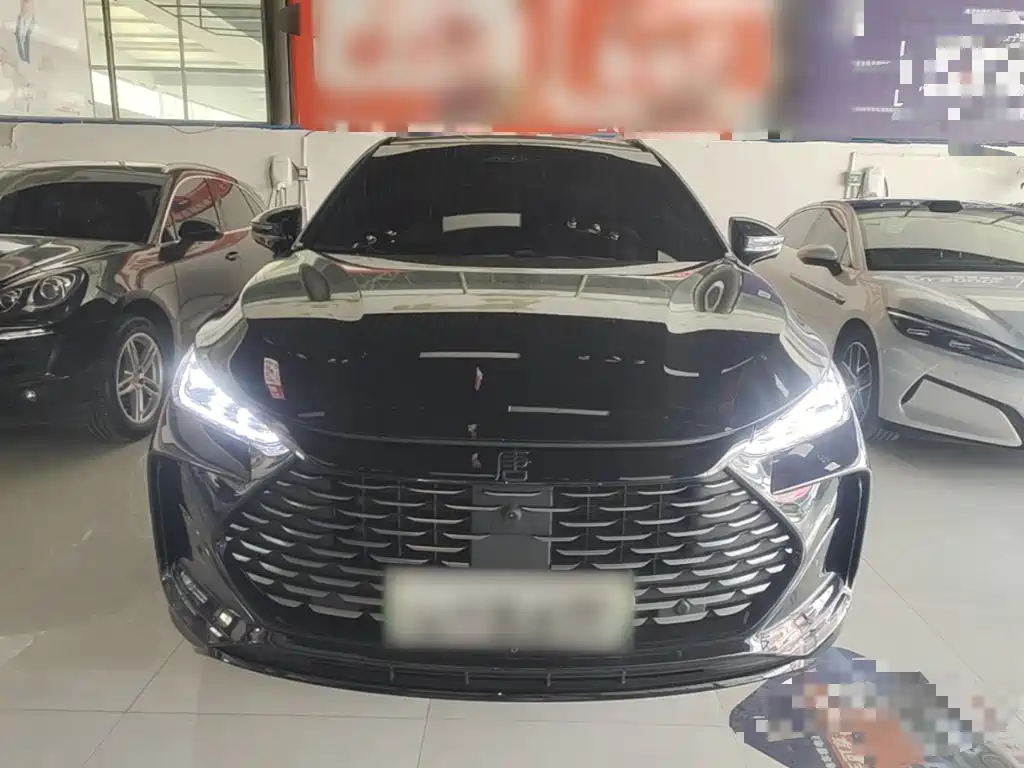 BYD Tang New Energy — миниатюра 3