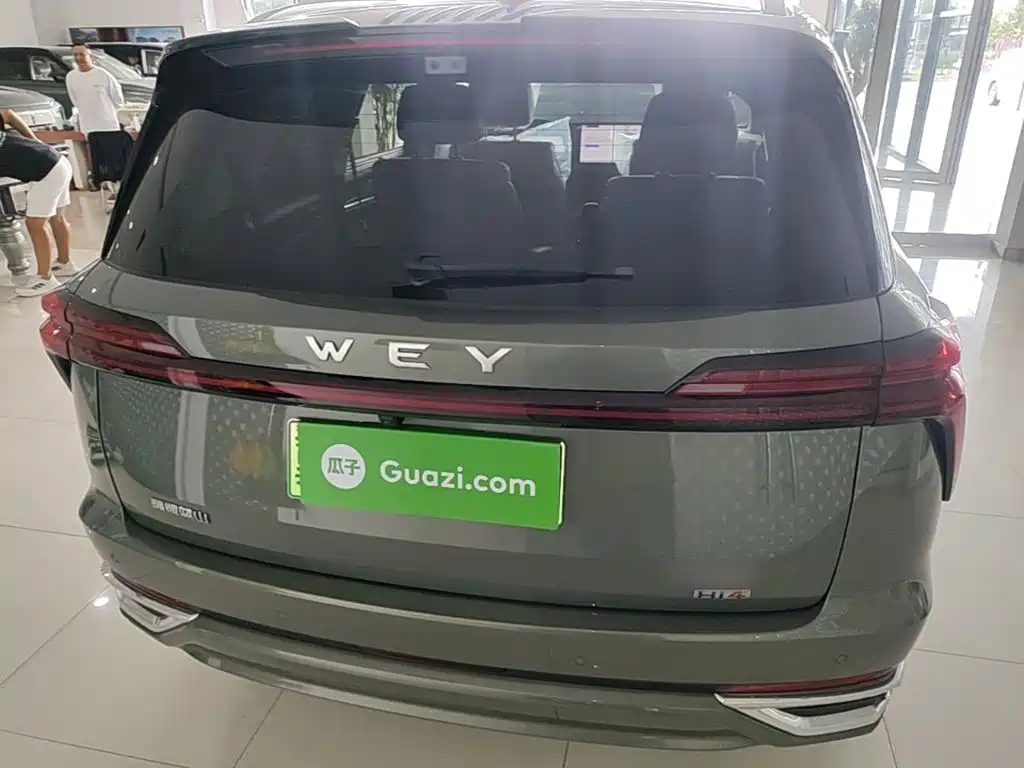 Wey Wey Lanshan — миниатюра 6