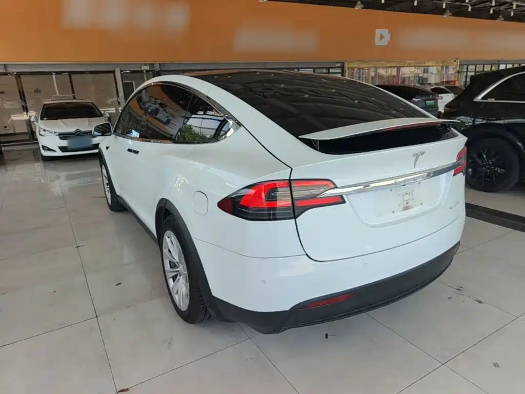 Tesla Model X — миниатюра 5