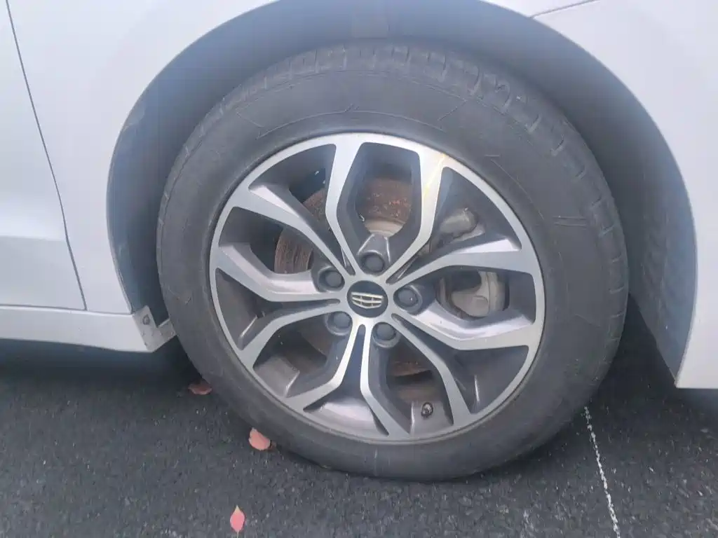 Geely Borui — миниатюра 25