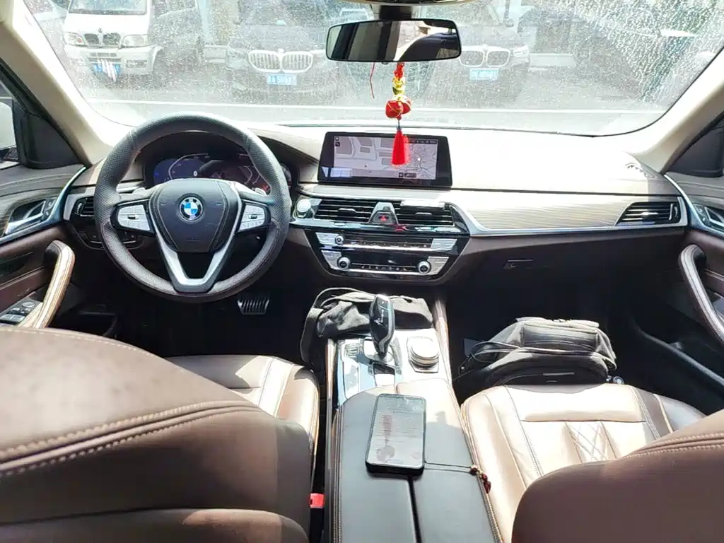 BMW 5 Series 5 2020 530Li xDrive Luxury