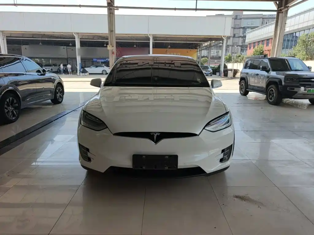 Tesla Model X — миниатюра 3